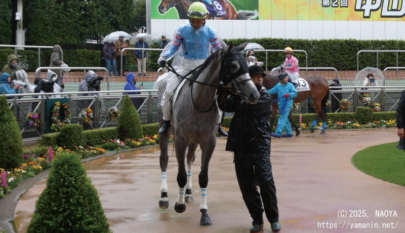 3歳未勝利・パドックのヤマニンラリアンス