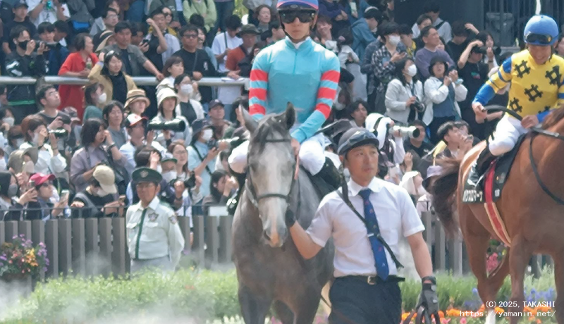 淀ステークス・パドックのヤマニンアルリフラ