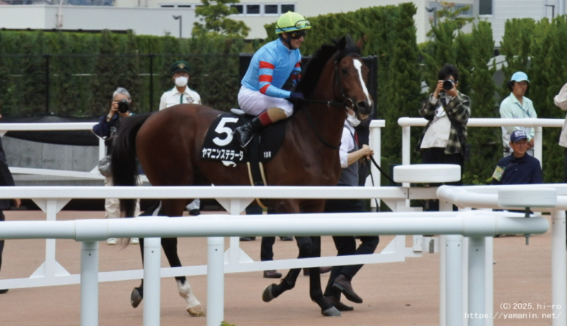 鴨川特別・本馬場に入るヤマニンステラータ