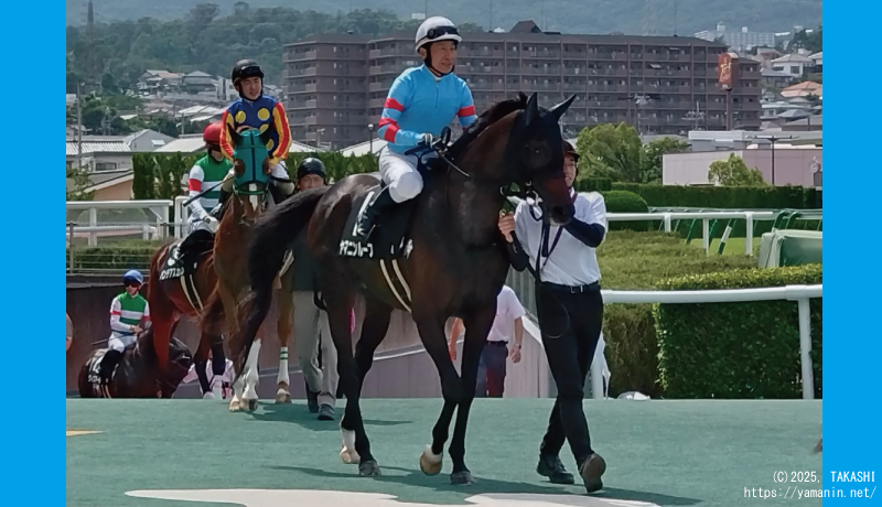 高砂特別・本馬場に入場するヤマニンループ
