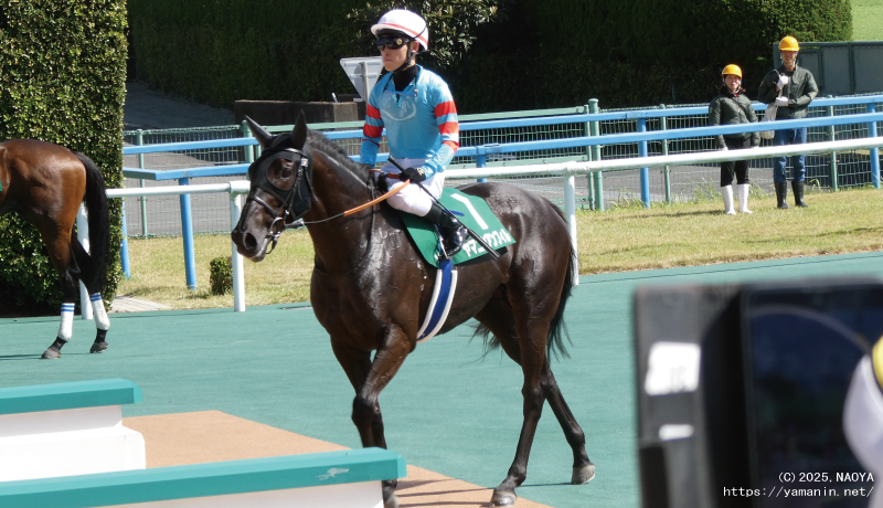 北九州記念・戻って来たヤマニンアンフィル