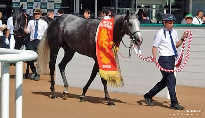 北九州記念・優勝馬ヤマニンアルリフラ