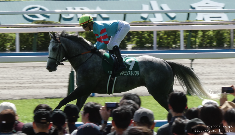 北九州記念・本馬場入場するヤマニンアルリフラ