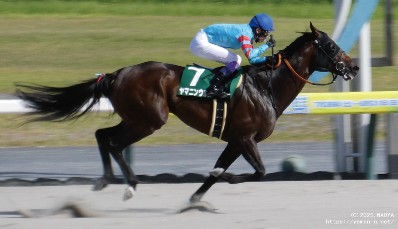 東海ステークス・ゴール前のヤマニンウルス