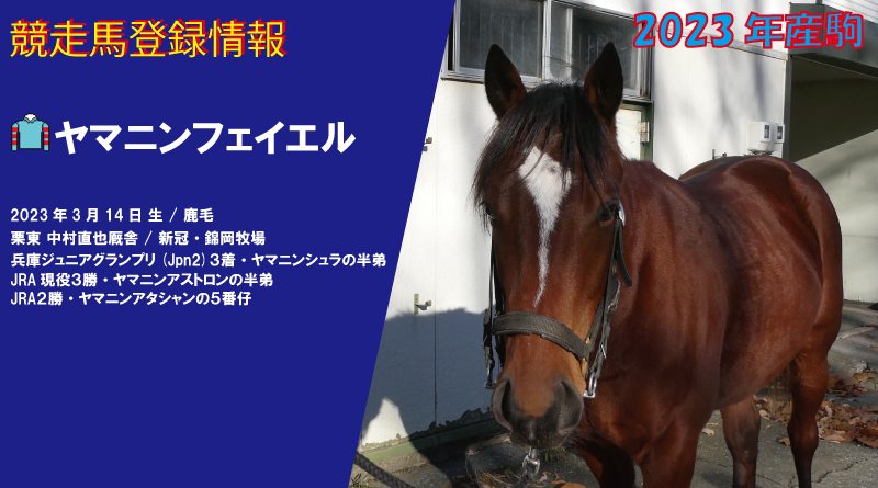 競走馬登録・ヤマニンフェイエル
