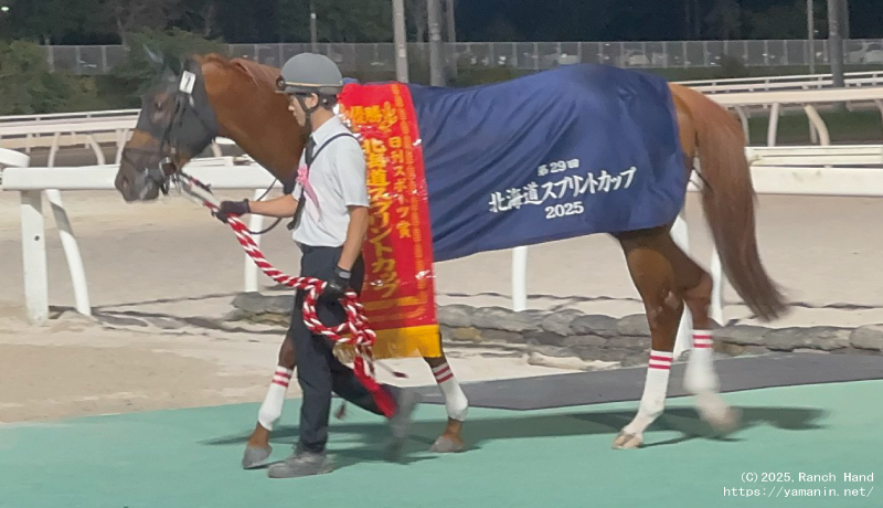 北海道スプリントカップ・表彰式のヤマニンチェルキ