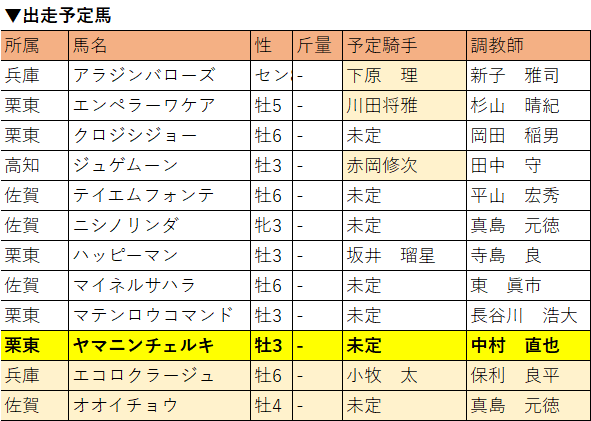 サマーチャンピオン・出走予定馬R2