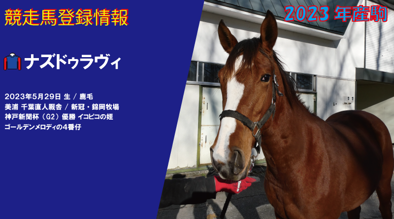 競走馬登録・ナズドゥラヴィ