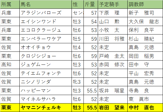 サマーチャンピオン・出走馬