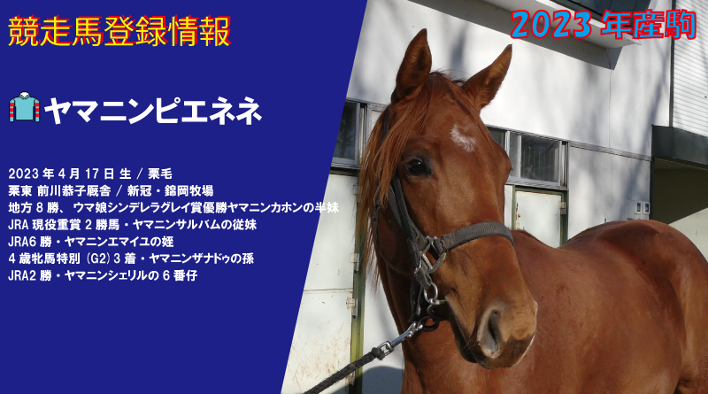 競走馬登録・ヤマニンピエネネ