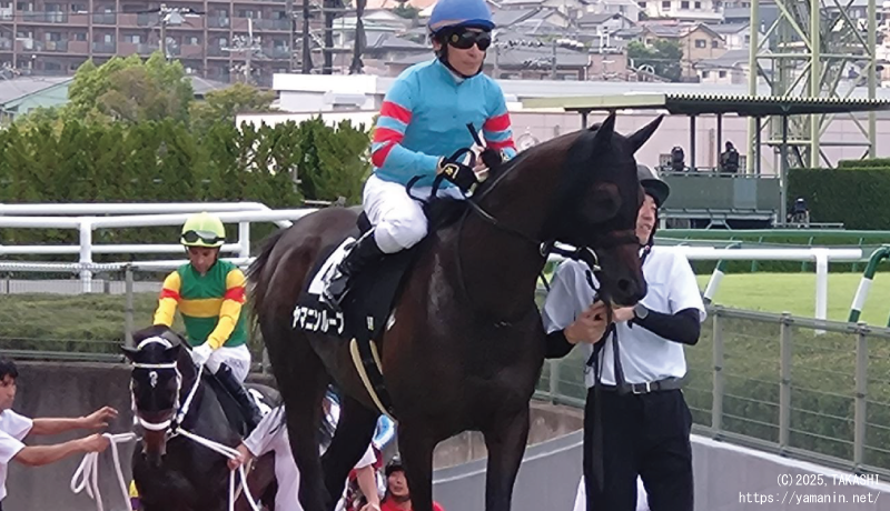 能勢特別・本馬場に入場するヤマニンループ