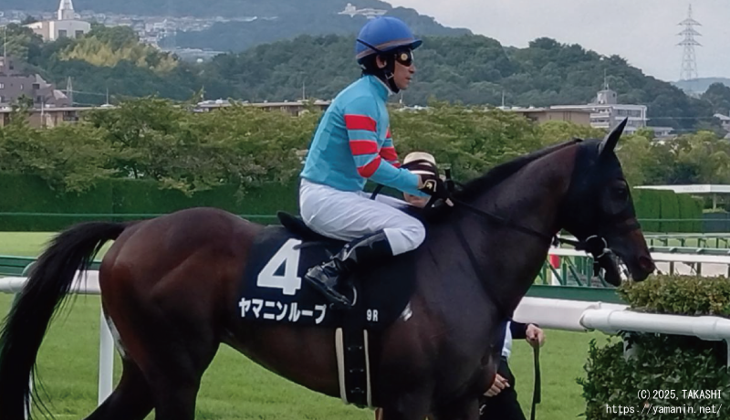 能勢特別・本馬場に入場するヤマニンループ