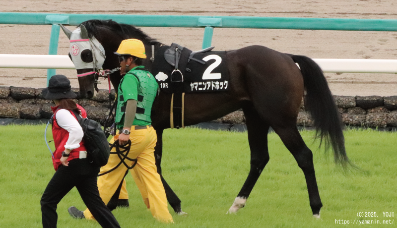 ディープインパクトカップ・本馬場のヤマニンアドホック