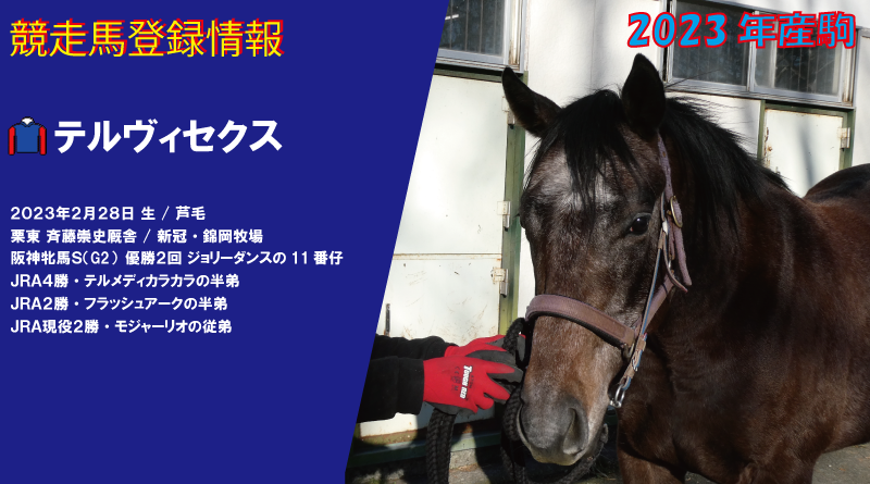 競走馬登録・テルヴィセクス