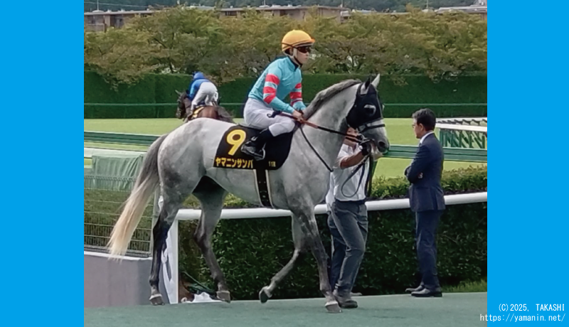 ポートアイランドS・本馬場に向かうヤマニンサンパ