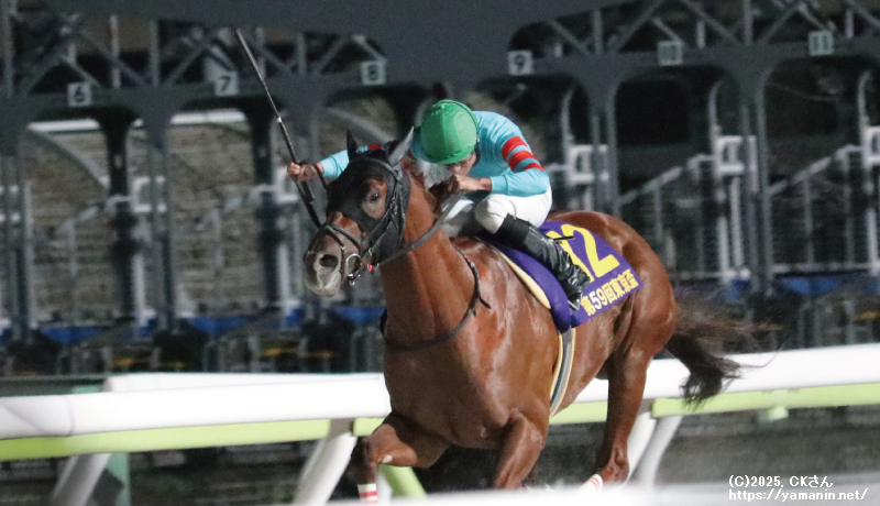 東京盃・ゴールに向けて抜け出したヤマニンチェルキ