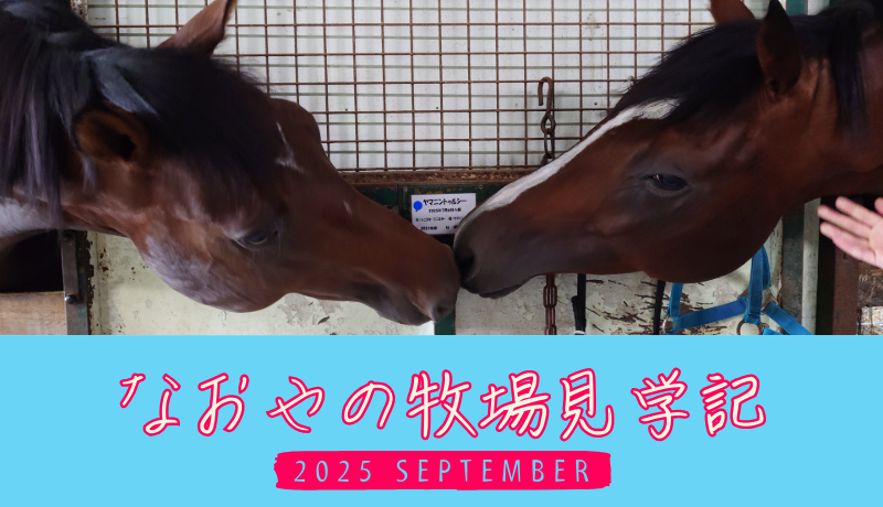 なおやの牧場見学記2025・TOPタイトル