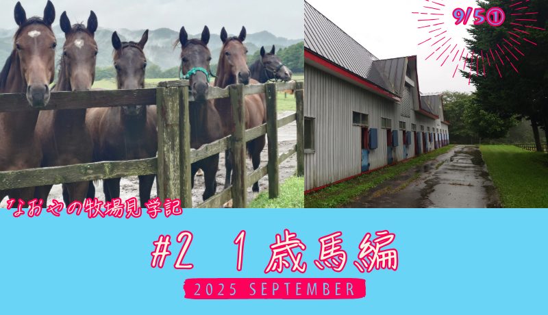 なおやの牧場見学記2025#02 1歳馬編・タイトル