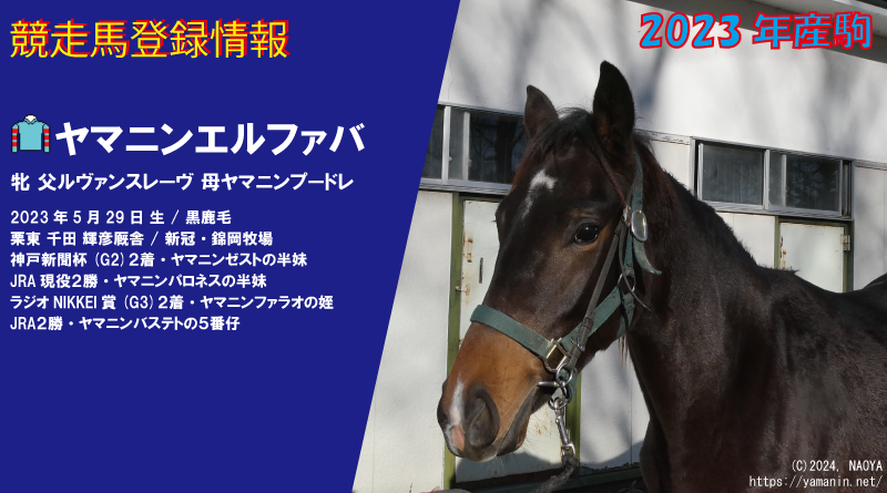 競走馬登録・ヤマニンエルファバ