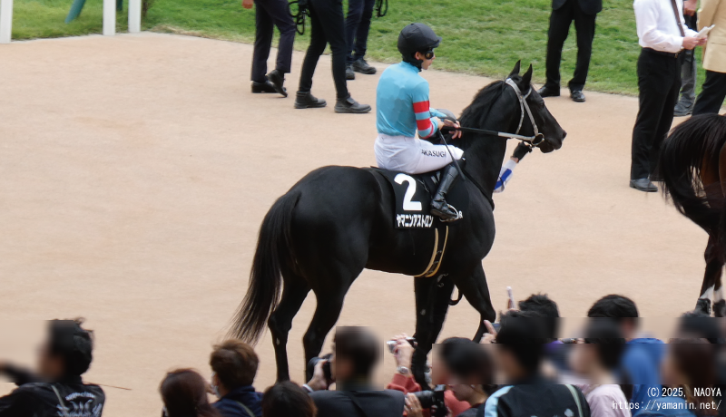 長岡京ステークス・本馬場に入るヤマニンアストロン