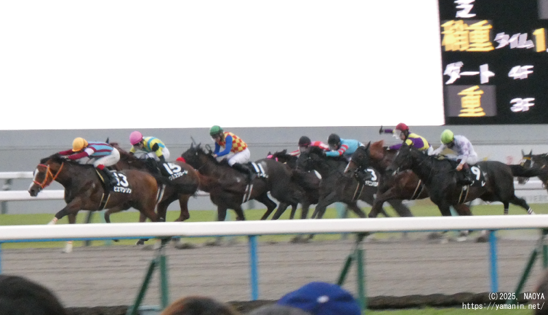 嵯峨野特別・ゴールに向かうヤマニンバロネス