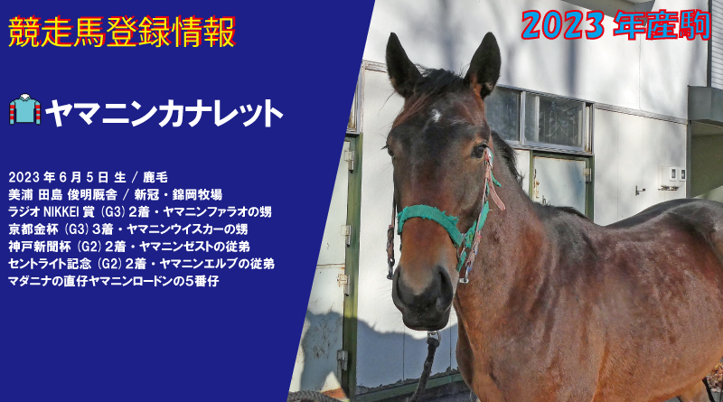 競走馬登録・ヤマニンカナレット