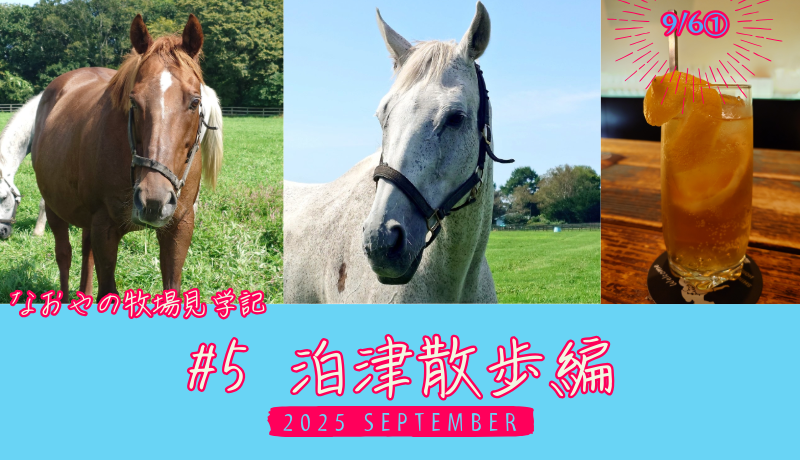 なおやの牧場見学記2025#05 泊津散歩編・タイトル