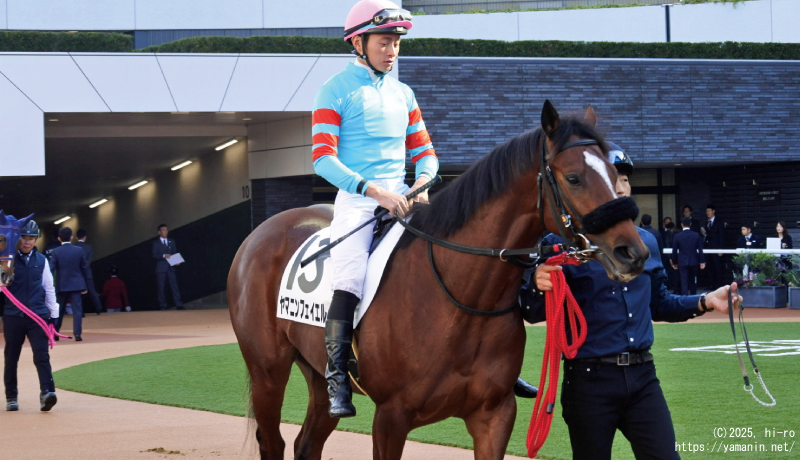 パドックのヤマニンフェイエル