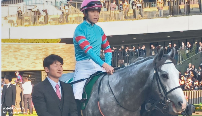 京阪杯・パドックのヤマニンアルリフラ