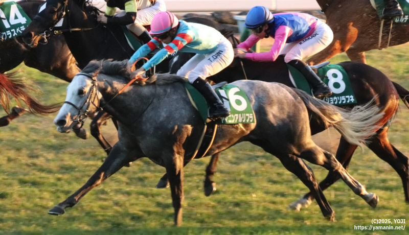 京阪杯・ゴールに向かうヤマニンアルリフラ