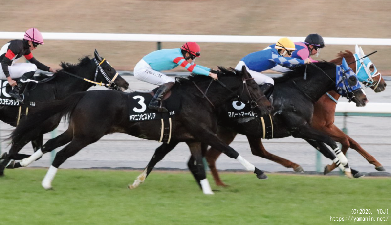 栄特別・ゴール前のヤマニンヒストリア