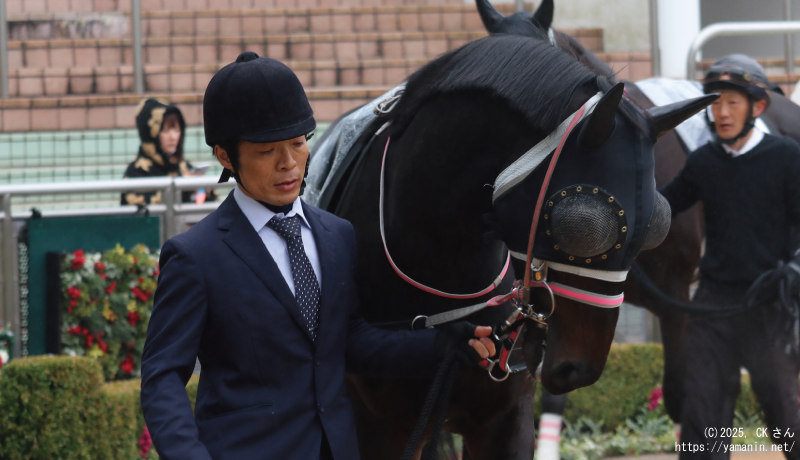 霞ヶ浦特別・パドックのヤマニンアドホック