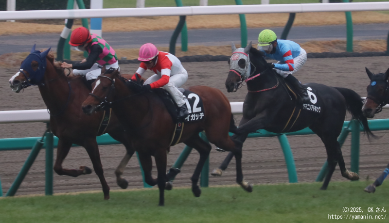 霞ヶ浦特別・ゴールに向かうヤマニンアドホック