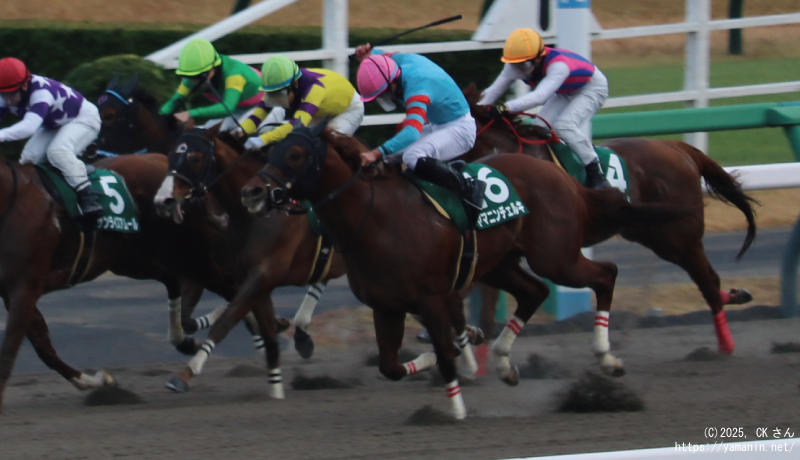 カペラステークス・ゴールに向かうヤマニンチェルキ