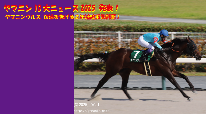 ヤマニン10大ニュース2025