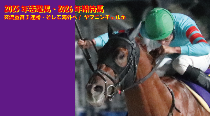 2025年活躍馬・2026年期待馬