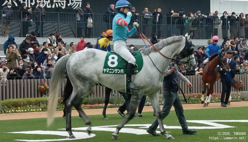 京都金杯・パドックのヤマニンサンパ