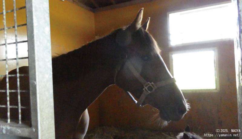 ブリエールセレスト