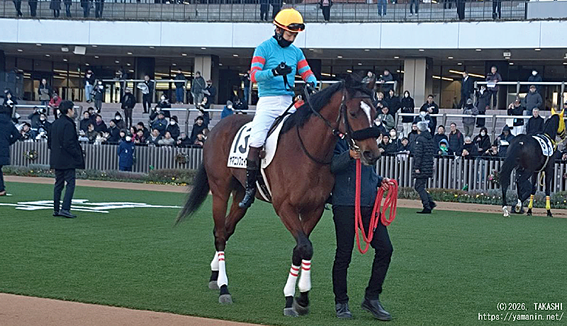 ３歳未勝利・パドックのヤマニンフェイエル
