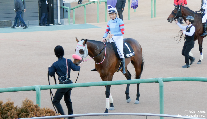 アレキサンドリアS・レース後のヤマニンエンディマ