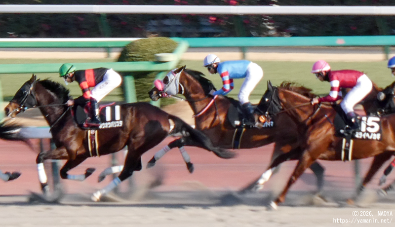 アレキサンドリアS・1周目のヤマニンエンディマ