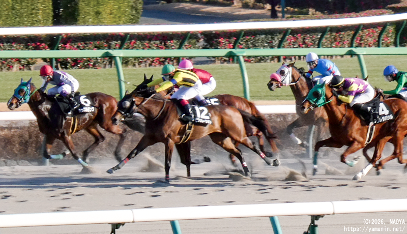 アレキサンドリアS・ゴール前のヤマニンエンディマ