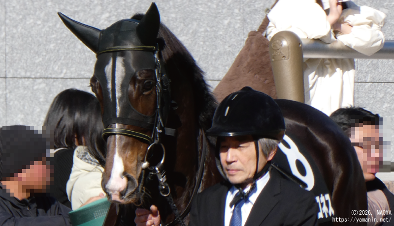 小倉山特別・パドックのヤマニンパロネス