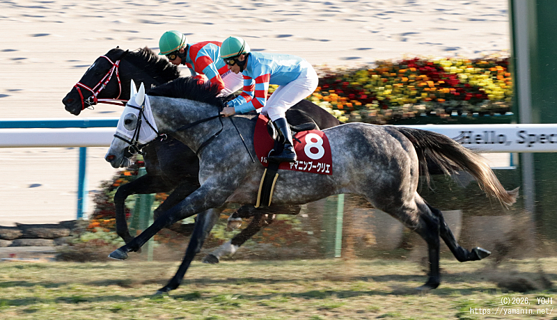 日経新春杯・１周目のヤマニンブークリエ
