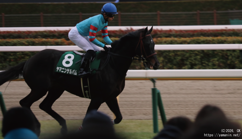 東京新聞杯・本馬場に入るヤマニンサルバム