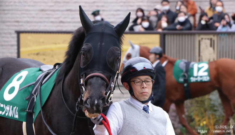 東京新聞杯・パドックのヤマニンサルバム
