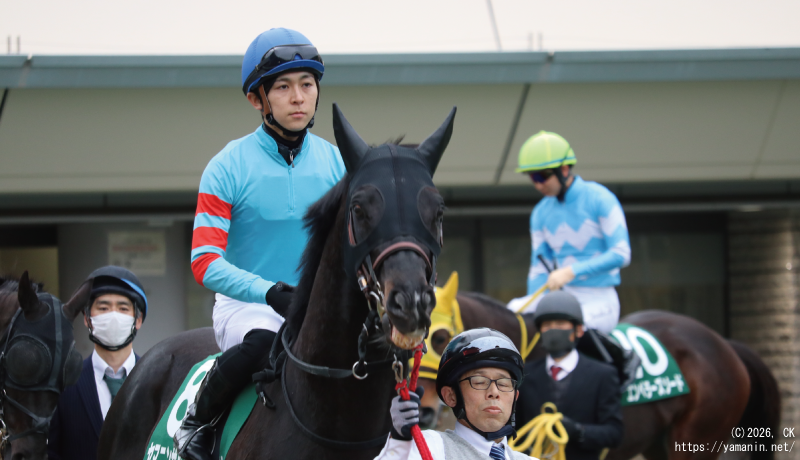 東京新聞杯・パドックのヤマニンサルバムと小崎騎手