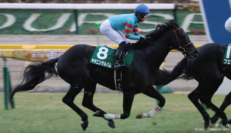 東京新聞杯・ゴールに向かうヤマニンサルバム