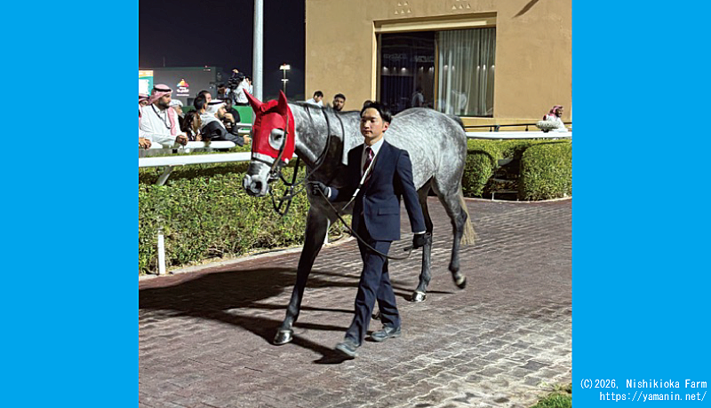 ネオムターフカップのヤマニンブークリエ