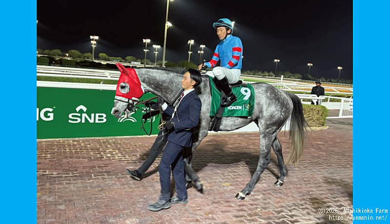 ネオムターフカップのヤマニンブークリエ